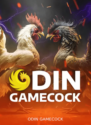DIN GAMECOCK กีฬาน่าเล่นมาแรง